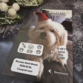 kaparos sorsjegy kiskedvenc cicás kutyás kolléga ajándék ötlet caybara kapibara vizidiszno