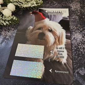 kaparos sorsjegy kiskedvenc cicás kutyás kolléga ajándék ötlet caybara kapibara vizidiszno