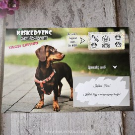 kaparos sorsjegy kiskedvenc cicás kutyás kolléga ajándék ötlet
