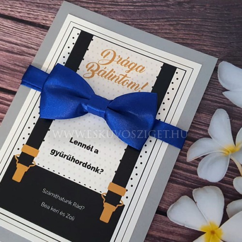 Alex gyermek felkérő kártya elegáns állítható gyerek csokornyakkendővel gyűrűhordó és kiskísérő felkéréshez