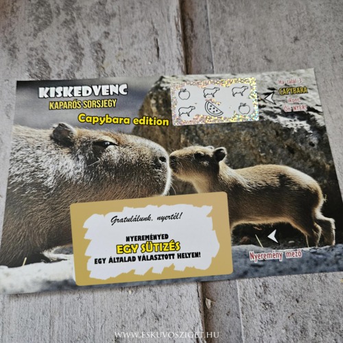 Kiskedvenc típusú egyedi kaparós sorsjegy nagy lekaparható felülettel és egyedi kutyás-cicás grafikával – kreatív fényképes ajándék állatbarátoknak