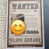 Terence western stílusú Wanted körözési poszter tanúfelkérő saját fényképpel és egyedi vicces felirattal