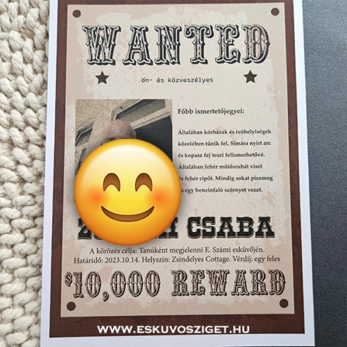 Terence western stílusú Wanted körözési poszter tanúfelkérő saját fényképpel és egyedi vicces felirattal